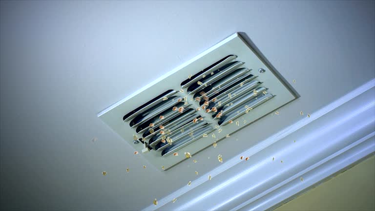 Best Commercial Air Duct Cleaning  in Neuse Forest, NC