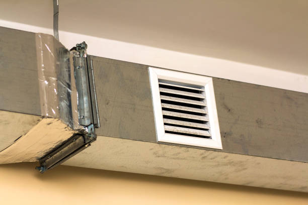 Air Duct Mold Removal in Neuse Forest, NC